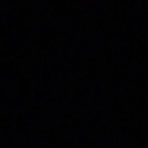 Meet your Posher, Bonnie